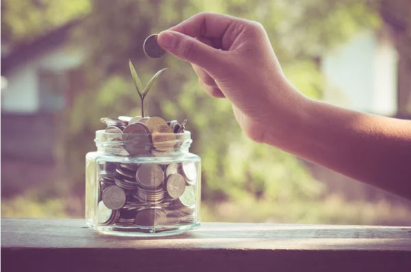 Million Dollar Baby Plans