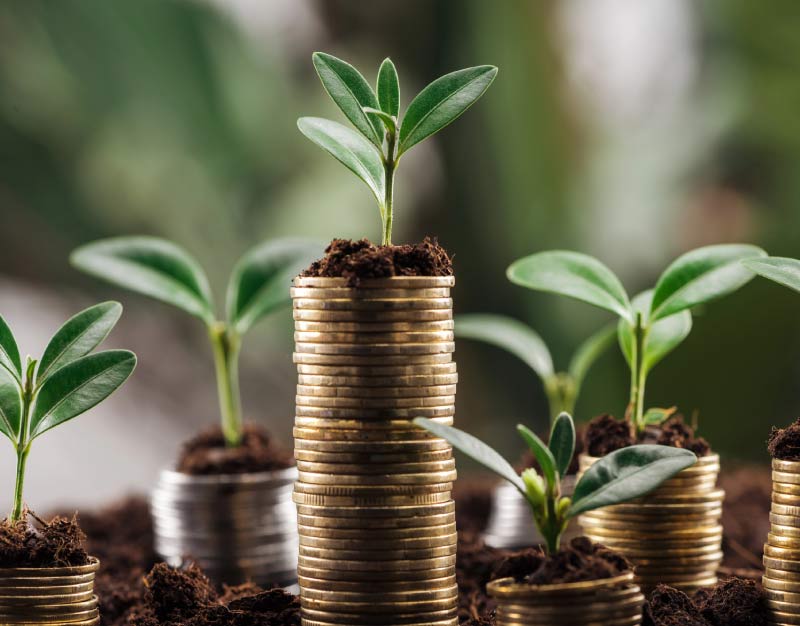 financial advisor california exxperts